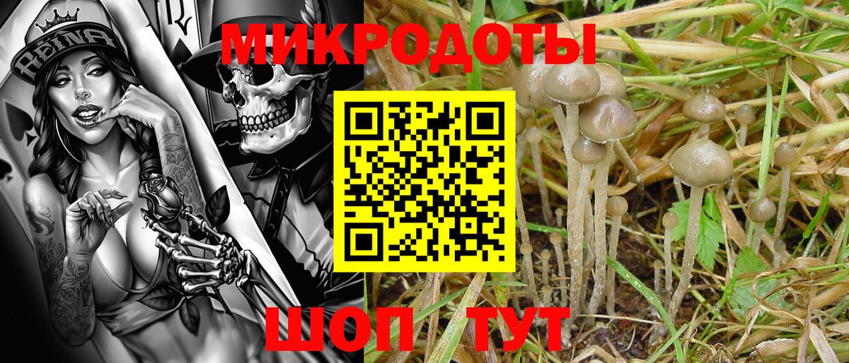 Псилоцибиновые грибы GOLDEN TEACHER  Вход с VPN  Новозыбков 